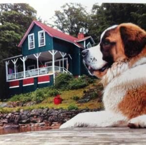 Meet your Posher, Natasha